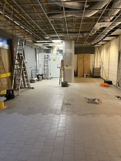 Bild 1 des Artikels 15