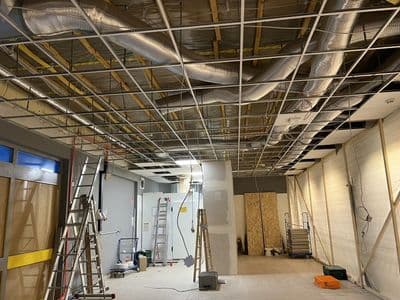 Bild 2 des Artikels 16