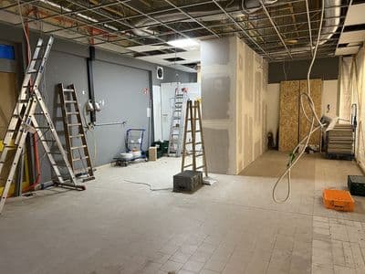 Bild 5 des Artikels 19