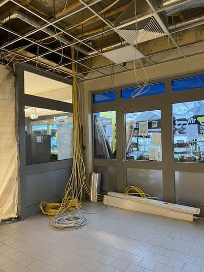 Bild 3 des Artikels 17