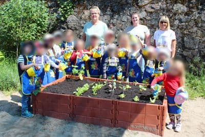 Bild 1 des Artikels 35